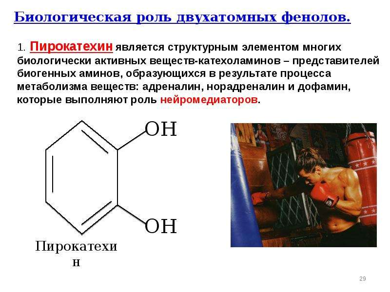 Написать схемы реакций характеризующие свойства пирокатехина как представителя фенолов