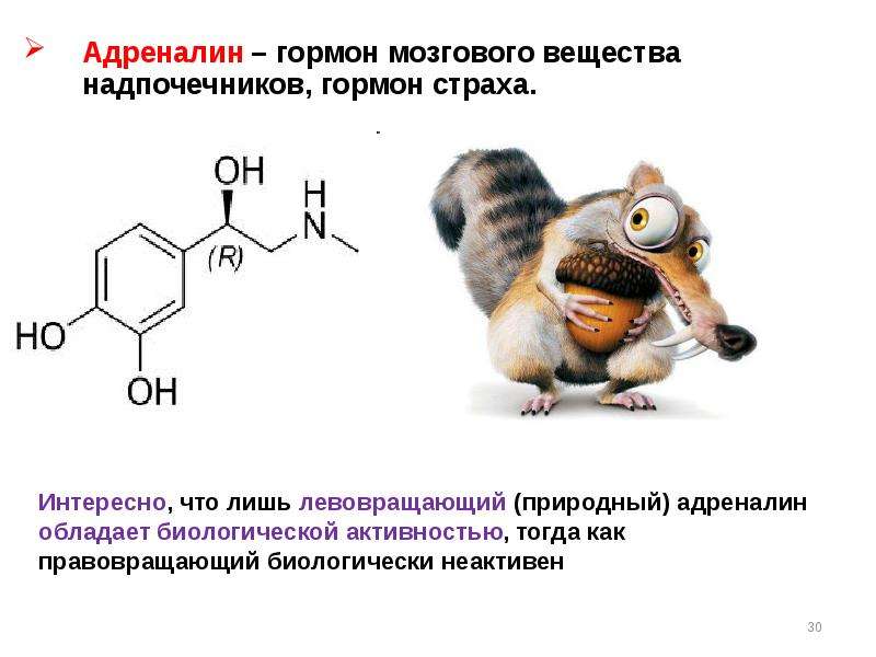 Адреналин картинки гормон