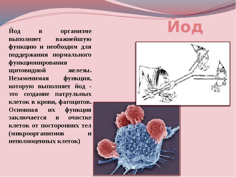 Схема загрузка йодом