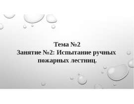 Испытание ручных пожарных лестниц