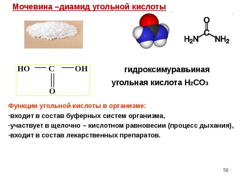 Конспект угольная кислота 9 класс. Угольная кислота биологическая роль. Функциональные производные угольной кислоты. Мочевина с карбоновыми кислотами. Диамид угольной кислоты.