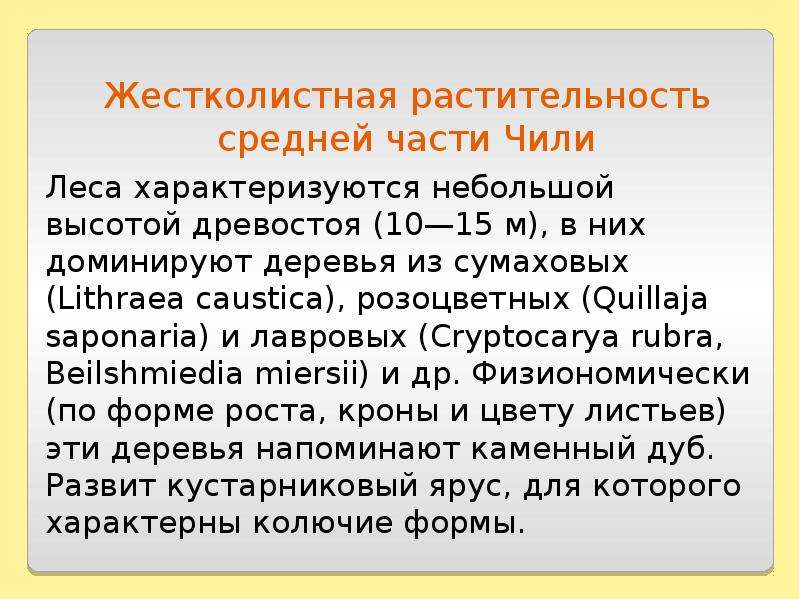 Характеристика жестколистных лесов. Жестколистные леса и кустарники деятельность человека. Доклад жёстко листные леса и кустарники. Жестколистные леса характеристика. Жестколистные леса и кустарники географическое положение.