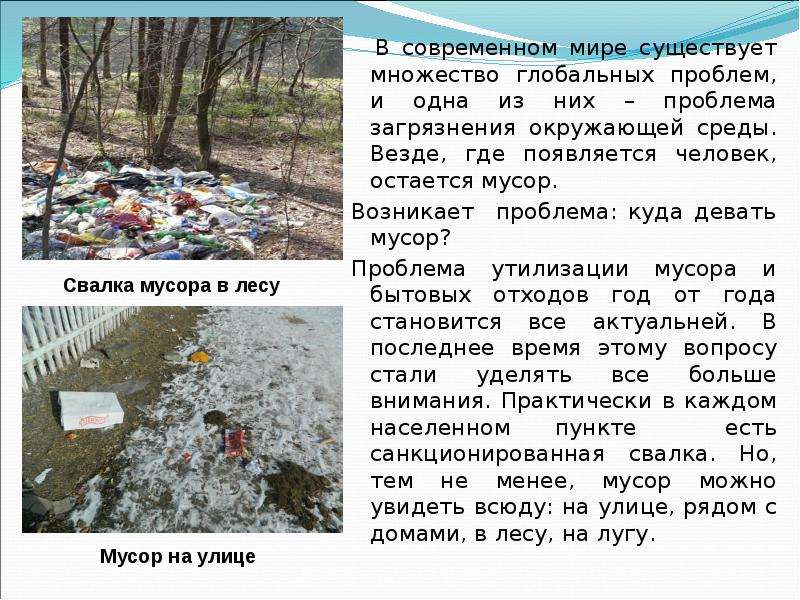 Проект по уборке мусора в городе