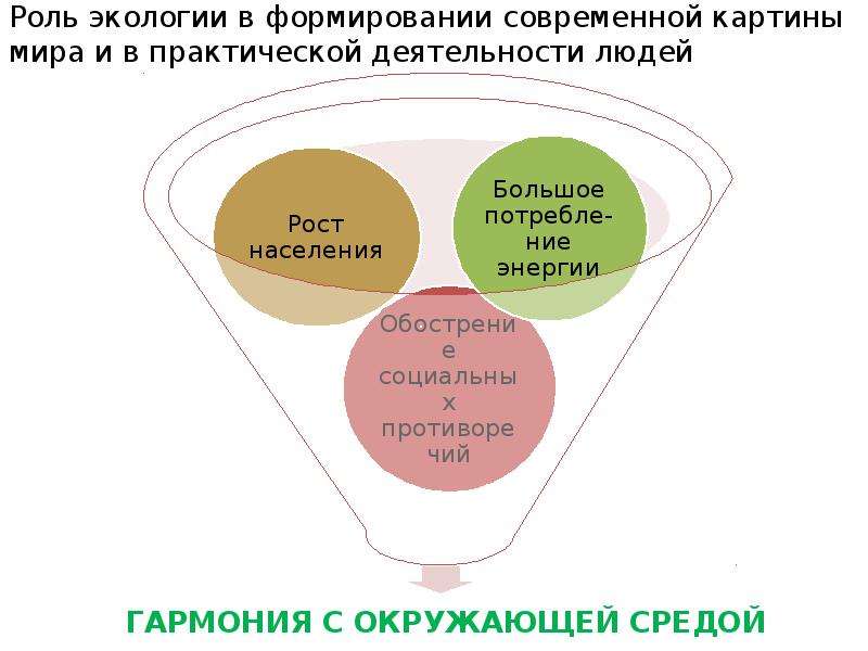 Роль в формировании и развитии. Роль экологии. Роль экологии в практической деятельности людей. Роль экологии в современном мире.