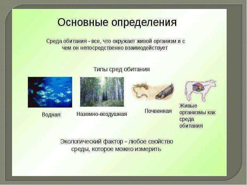Презентация среда обитания экологические факторы 7 класс