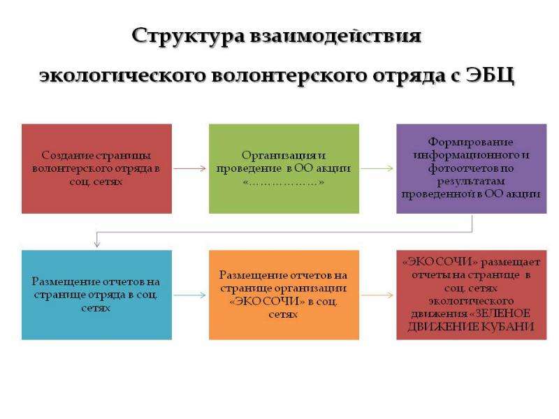 План работы волонтерского отряда в колледже