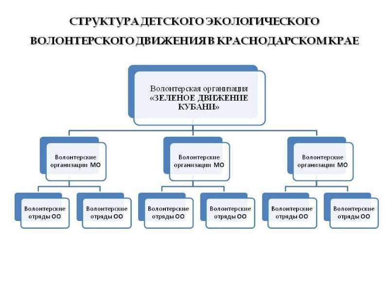 Направления волонтерства схема