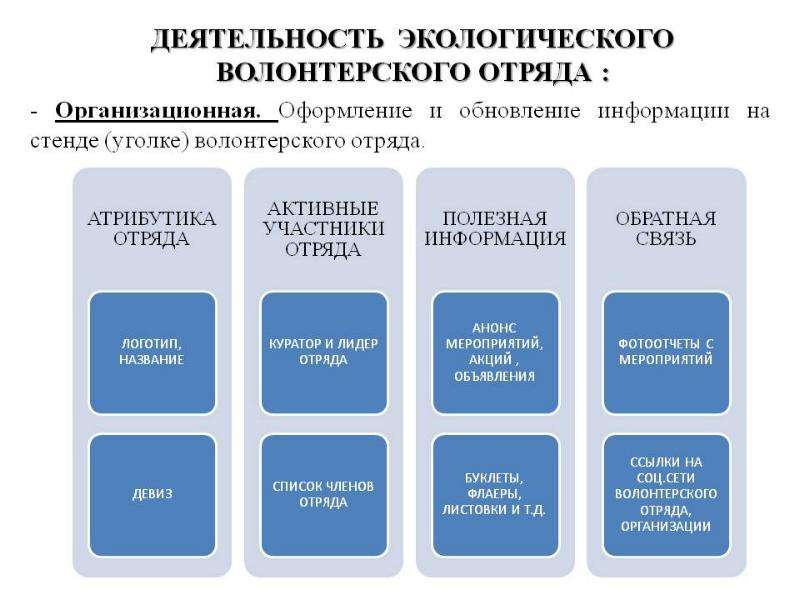 План работы волонтерского отряда