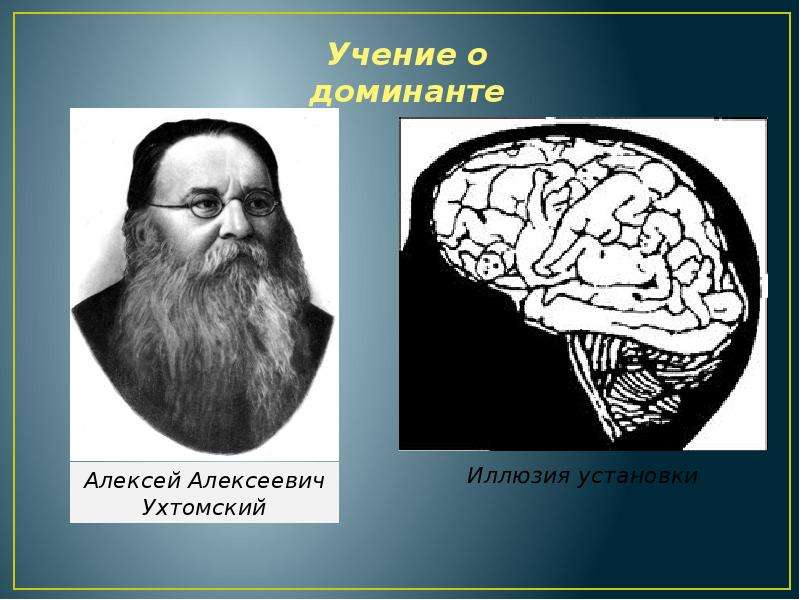 Нервная система человека презентация пименов