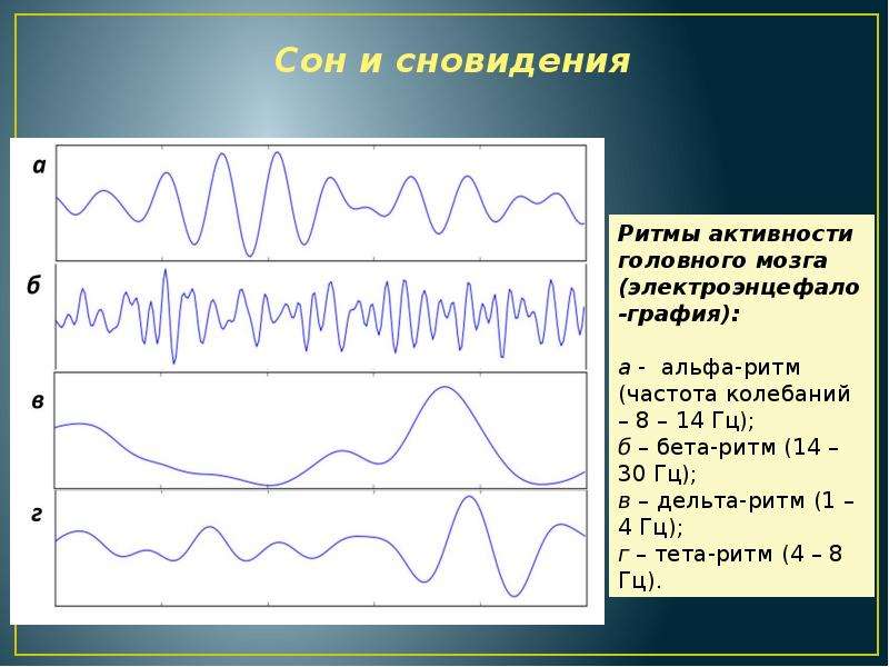 Высшая нервная деятельность презентация пименова