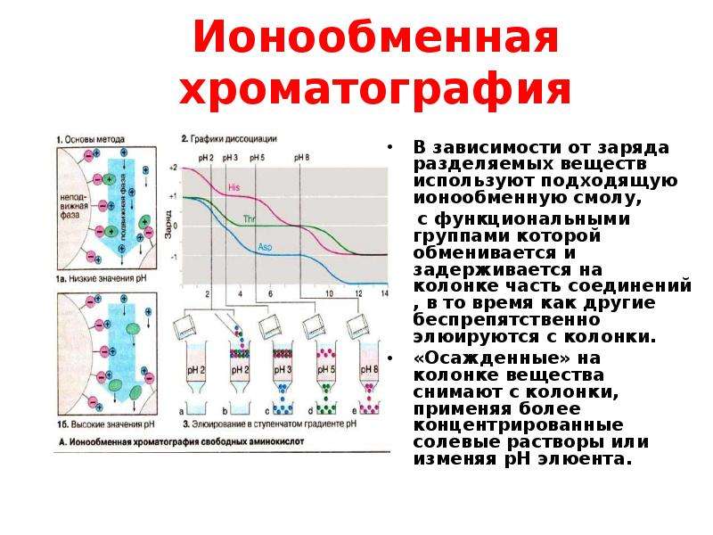 Ионообменная хроматография схема