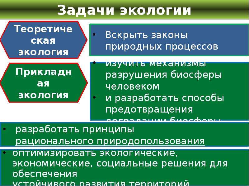 Отношение общности. Экономическая экология задачи. Экологическая оптимизация. Правило оптимизации экология. Экологические отношения экономические.