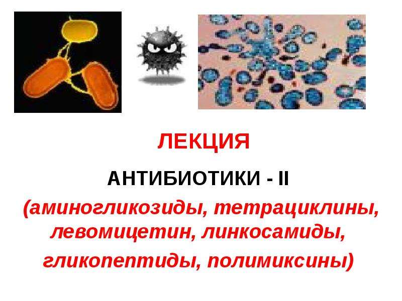 Презентация антибиотики 10 класс