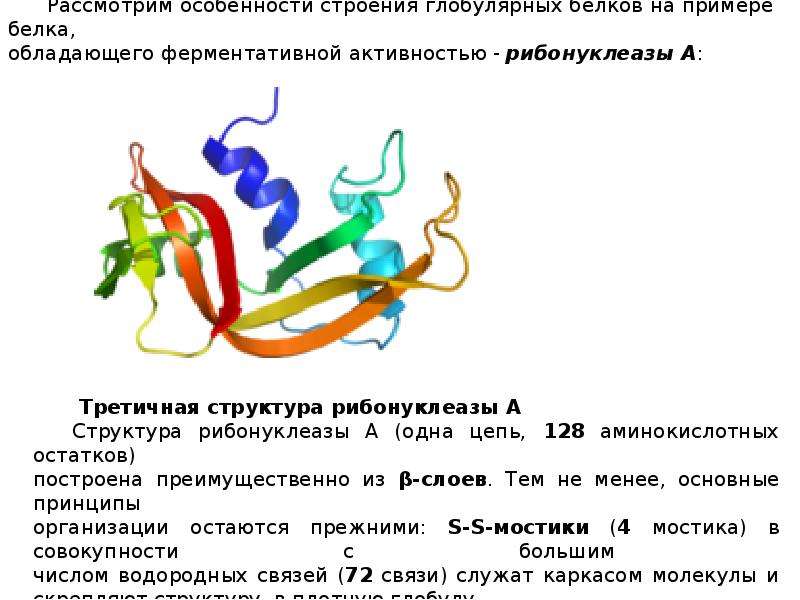 Презентация структура белков