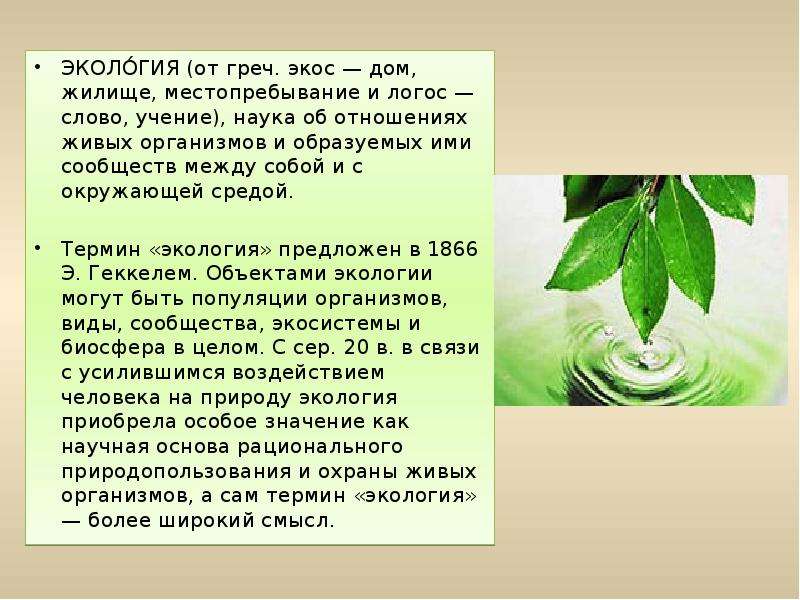 Прочитайте описание экологии некоторых видов. Доклад по теме экология. Информация на тему экология. Экология доклад. Экологический доклад.