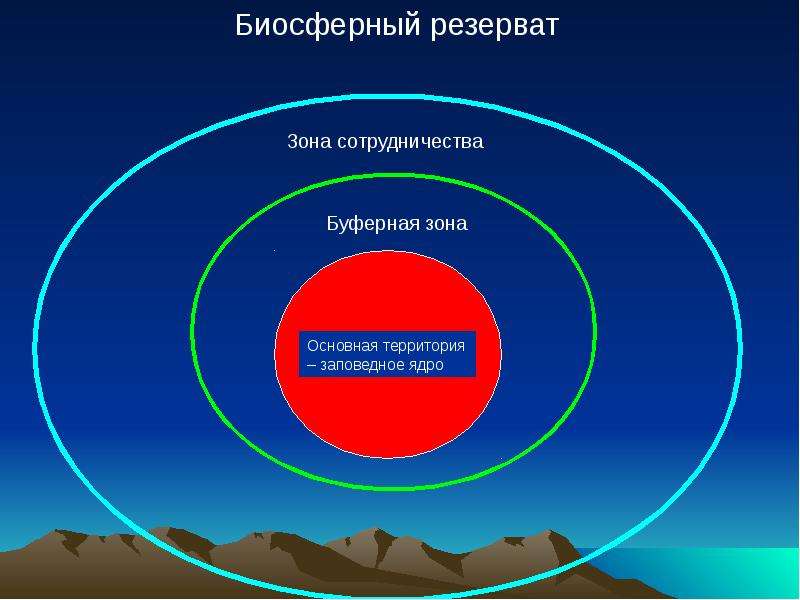 Буферная зона россии. Зоны биосферного резервата. Биосферные буферные зоны. Зоны взаимодействия. Ядро и буферная зона заповедника.