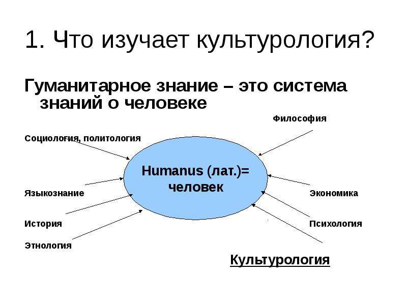 Культурология изучает