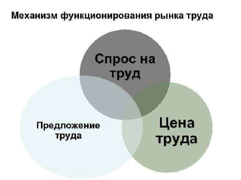 Как работает современный рынок проект 10 класс