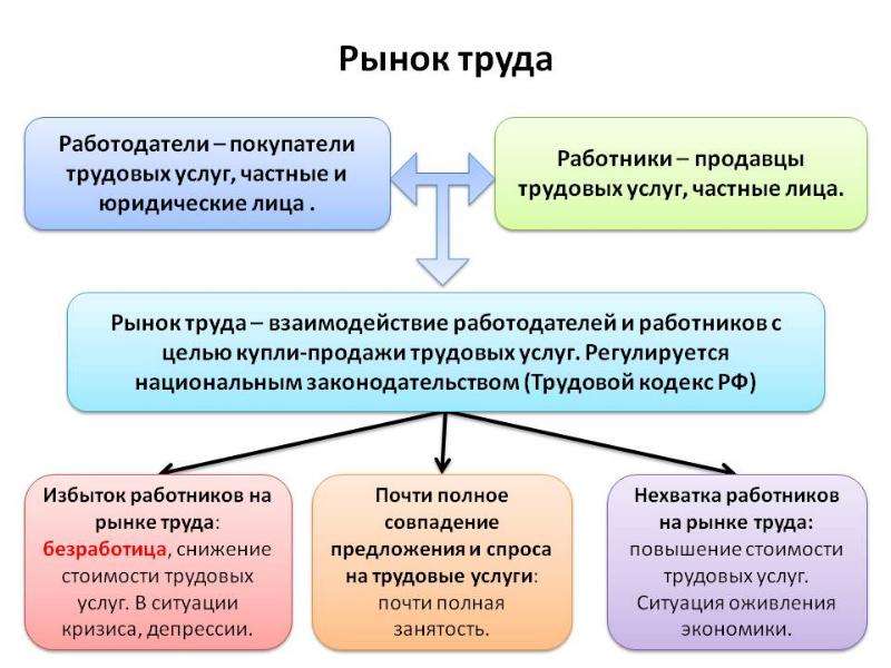 Проект рынок труда