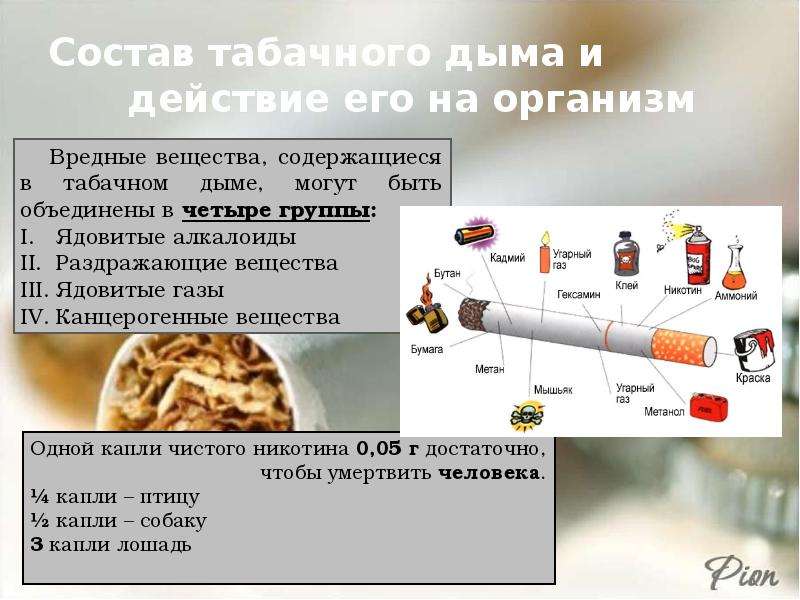 Влияние табачного дыма на организм человека проект