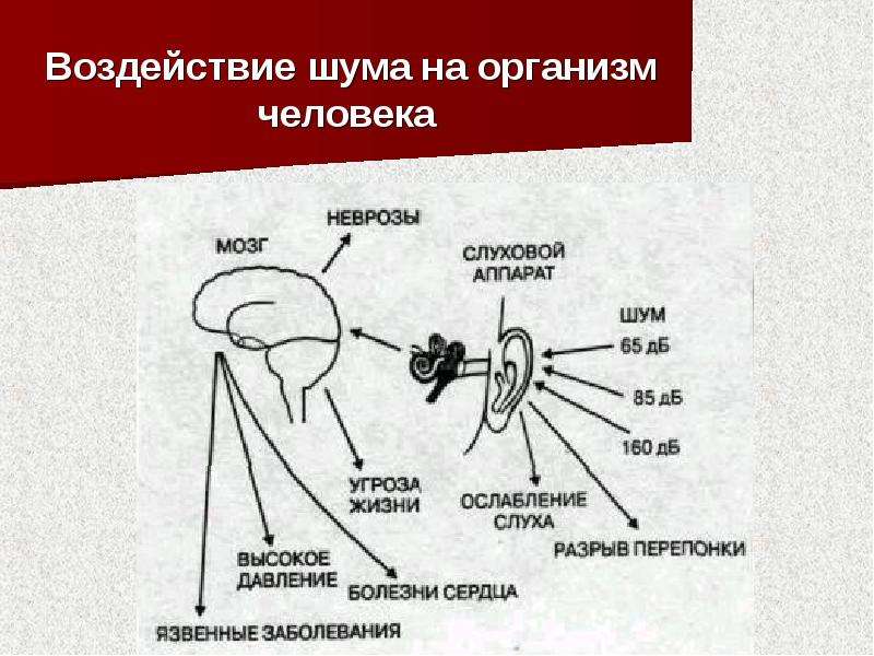 Вибрация шум и воздействие на человека презентация