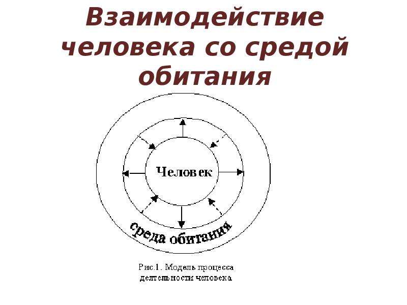 Расположите в правильном порядке элементы схемы взаимодействия человека со средой обитания