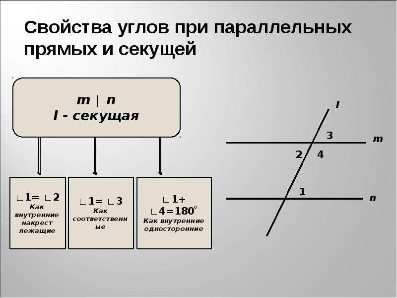 5 параллельных прямых