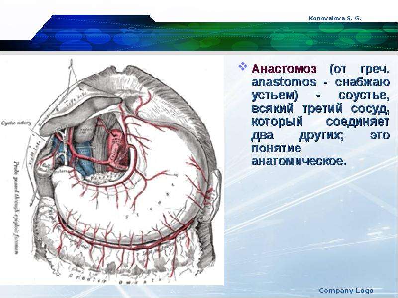 Соустье