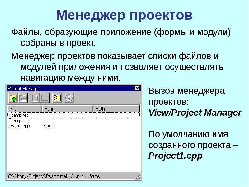 Файл project. Файл для проекта. Форма программы. Форма приложения. Модули приложения.