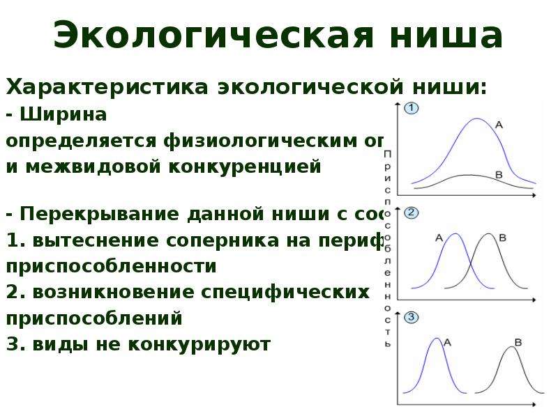 Экологическая ниша схема