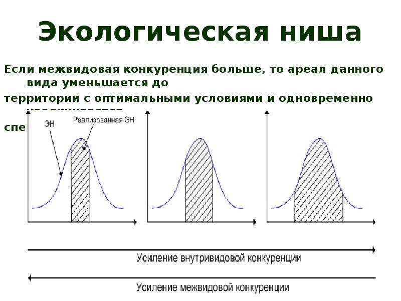 Экологическая ниша и межвидовые отношения 11 класс презентация