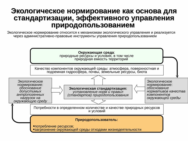 Экологическое нормирование схема