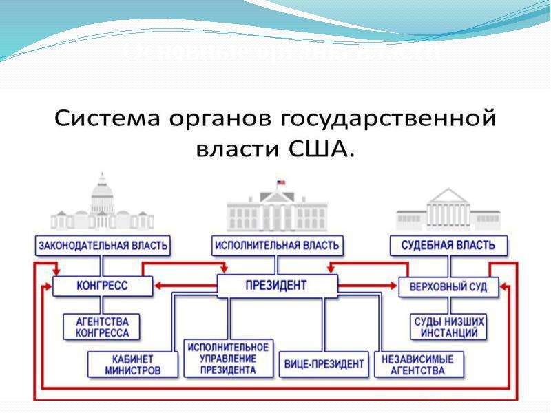 Структура власти в сша схема 2022