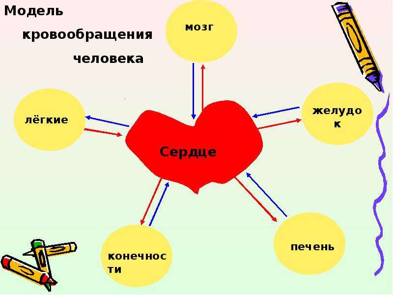 Подсчет вариантов с помощью графов 7 класс презентация колягин