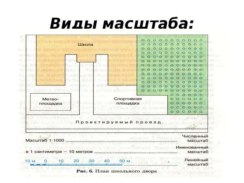 Что показывает масштаб плана местности