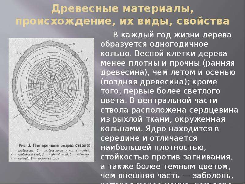 Древесные материалы материаловедение презентация