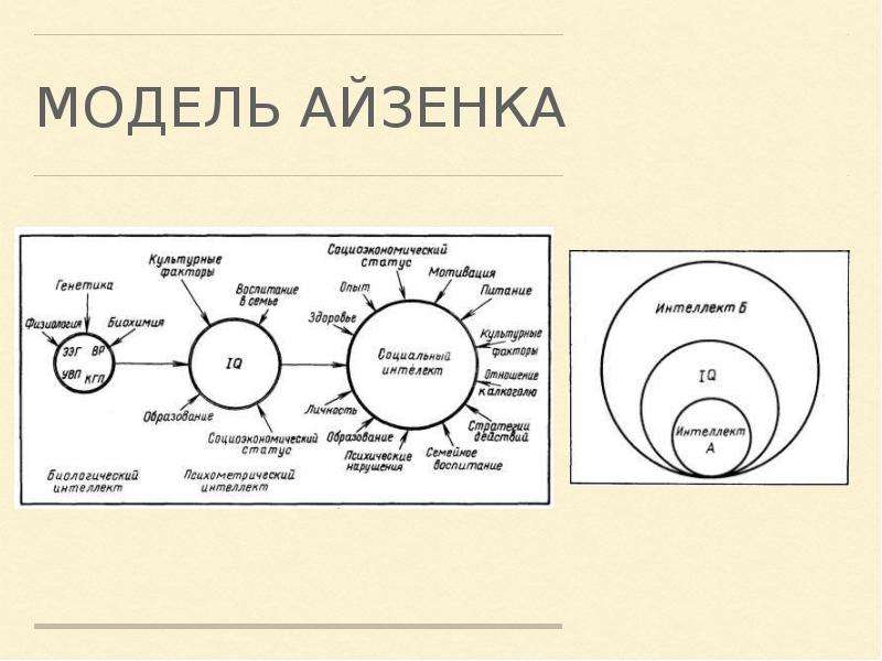 Социальный интеллект уровни. Айзенк модель интеллекта. Уровневая теория интеллекта (Айзенк). Иерархия интеллектов Айзенк. Социальный интеллект Айзенка.