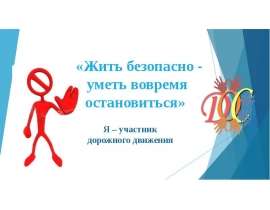«Жить безопасно - уметь вовремя остановиться». Я – участник дорожного движения