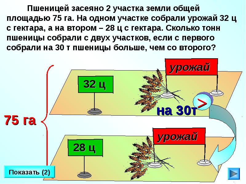 Сколько тонн с гектара