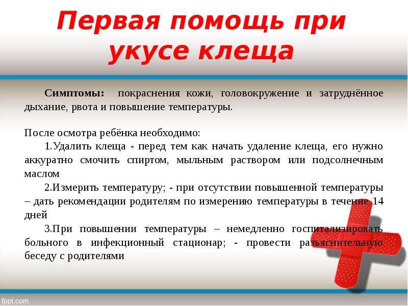 Первая помощь при укусе клеща презентация