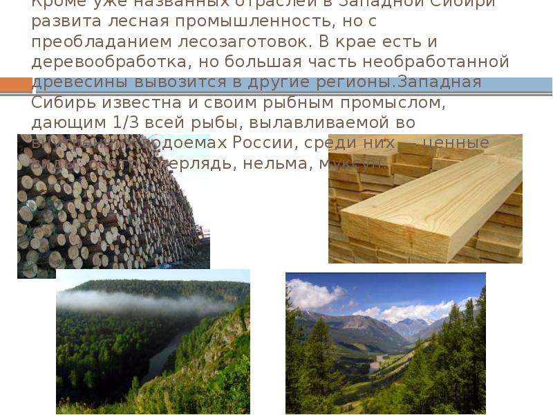 Сибирь богата природными ресурсами