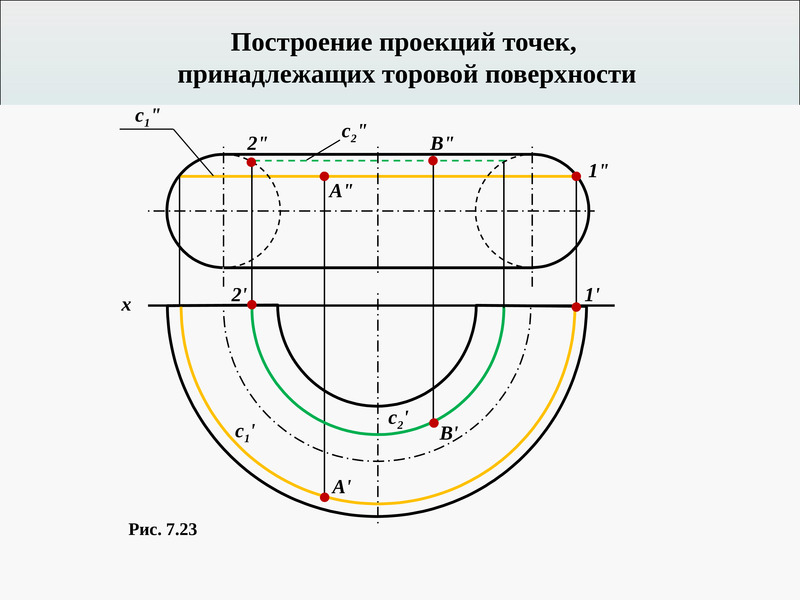 Построить проекции точек на чертеже. Торовая поверхность проекции. Построение проекций точек принадлежащих торовой поверхности. Торовая поверхность с сечением. Торовая поверхность на чертеже.