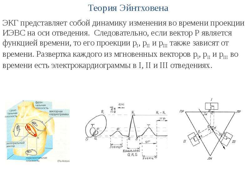 Понятие об экг презентация