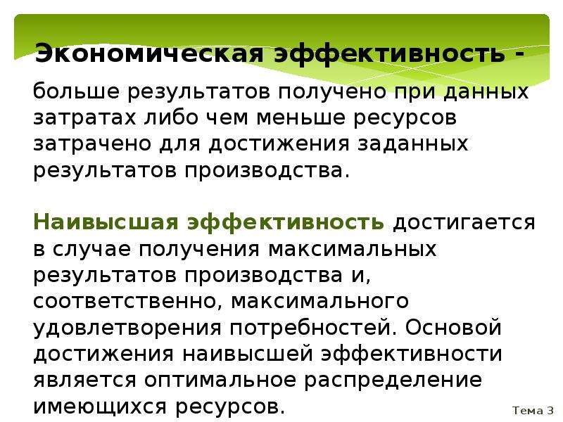 Экономические ограничения. Отношение затраченных ресурсов к полученным результатам это.