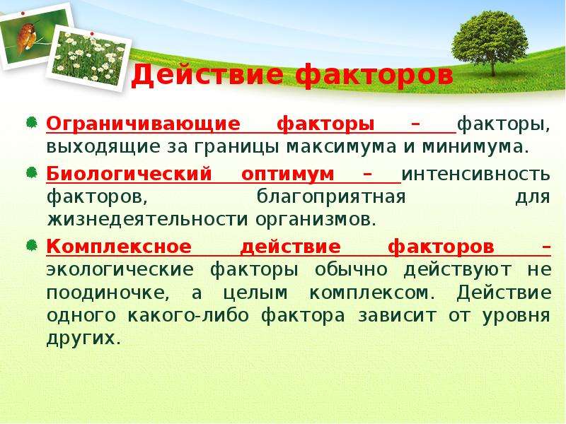 Оне фактор. Благоприятные факторы окружающей среды. Ограничивающие факторы действуют:. Комплексное действие факторов. Комплексные организмы это.