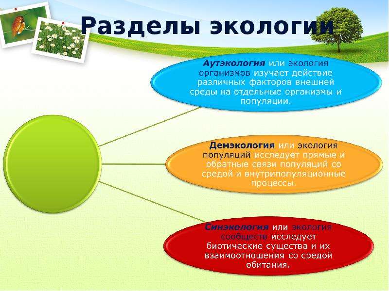 Презентация на тему условия жизни на земле среды жизни и экологические факторы 9 класс