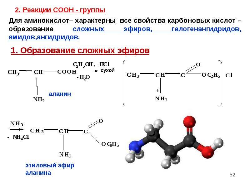 Пептиды презентация 10 класс углубленный уровень - 80 фото