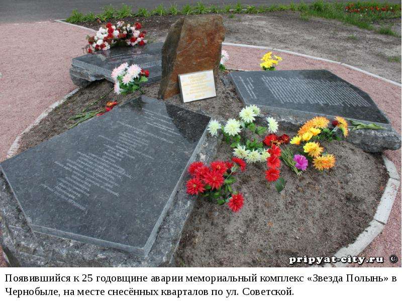 Последствия Чернобыльской катастрофы на примере Республики Беларусь, рис. 8