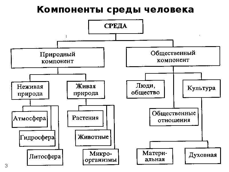 Элементами среды. Компоненты окружающей среды человека. Окружающая человека среда и ее компоненты. Основные компоненты среды. Среда человека.