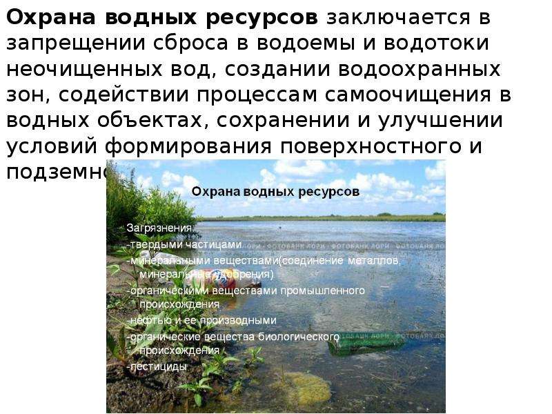 Ресурс водного объекта. Охрана водных ресурсов в России. Меры по охране пресных вод. Меры по охране водной среды.